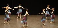 Gala de danse classique 14 ans à jeunes adultes 2026